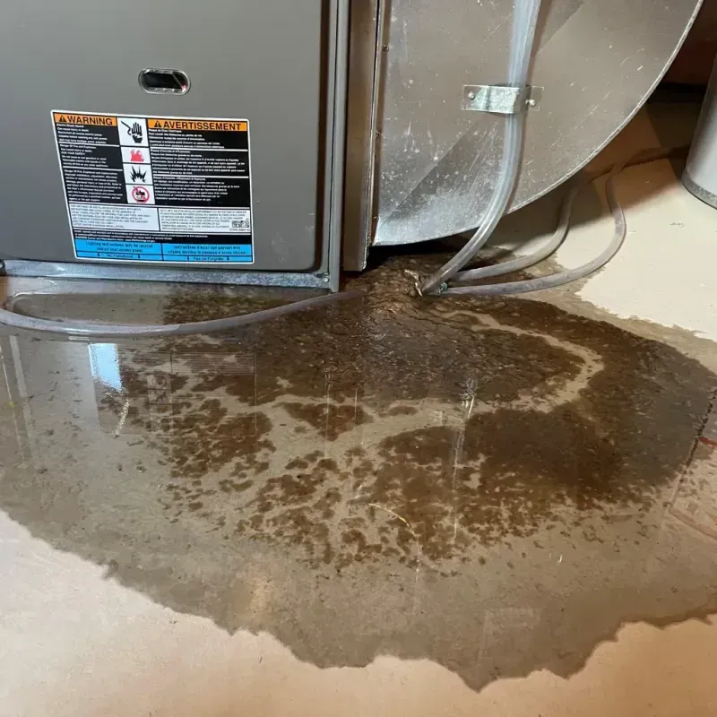 Appliance Leak Cleanup in Durand, IL